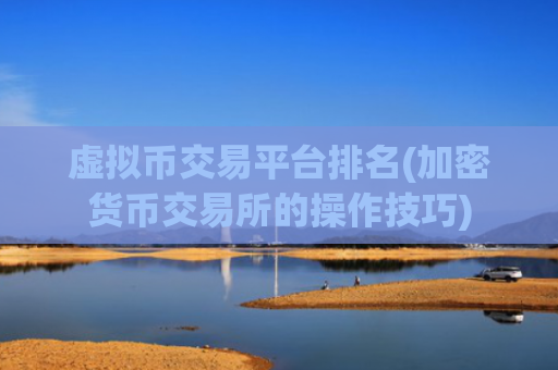 虚拟币交易平台排名(加密货币交易所的操作技巧)