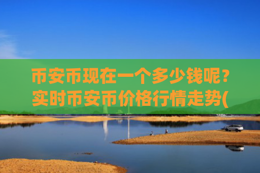 币安币现在一个多少钱呢?实时币安币价格行情走势(现价4654.46元)