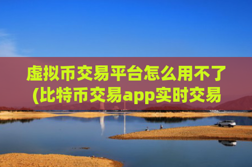 虚拟币交易平台怎么用不了(比特币交易app实时交易)