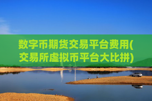 数字币期货交易平台费用(交易所虚拟币平台大比拼)