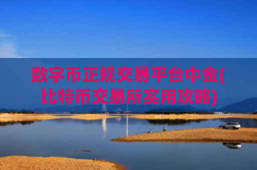 数字币正规交易平台中金(比特币交易所实用攻略)
