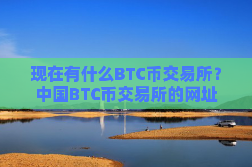 现在有什么BTC币交易所?中国BTC币交易所的网址