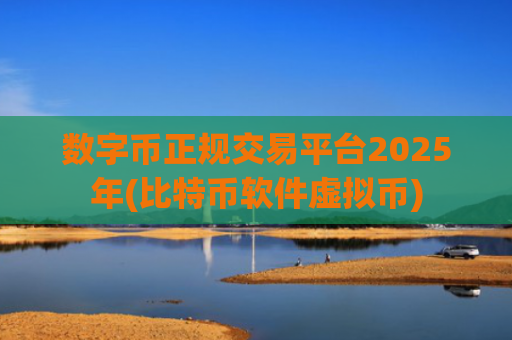 数字币正规交易平台2025年(比特币软件虚拟币)