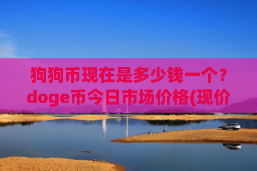狗狗币现在是多少钱一个？doge币今日市场价格(现价2.1918元)