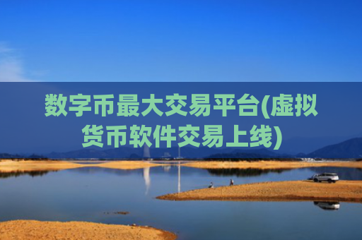 数字币最大交易平台(虚拟货币软件交易上线)