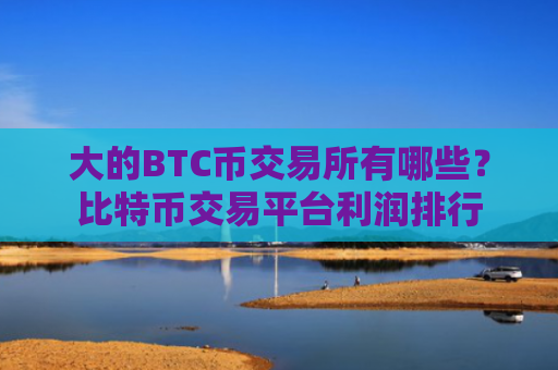 大的BTC币交易所有哪些?比特币交易平台利润排行