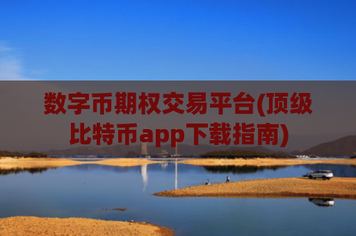 数字币期权交易平台(顶级比特币app下载指南)