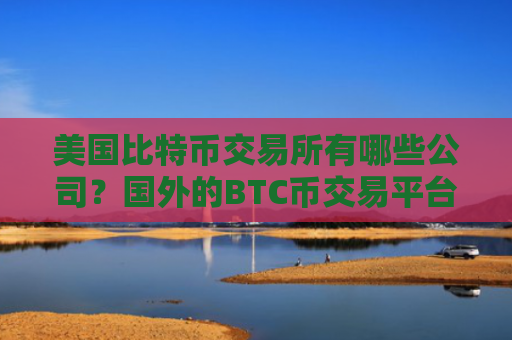 美国比特币交易所有哪些公司？国外的BTC币交易平台有哪些