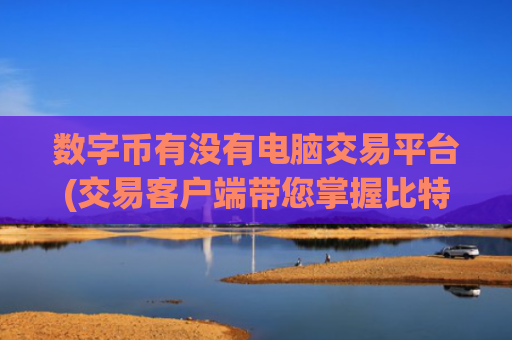 数字币有没有电脑交易平台(交易客户端带您掌握比特币行情)