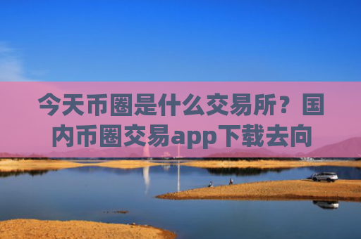 今天币圈是什么交易所?国内币圈交易app下载去向