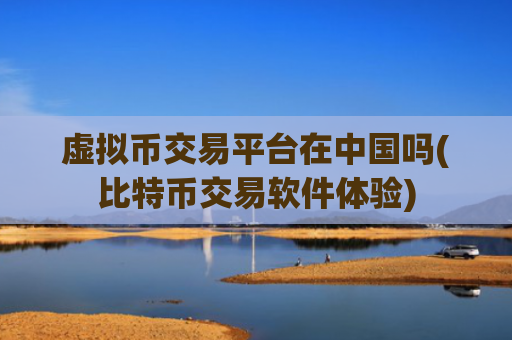 虚拟币交易平台在中国吗(比特币交易软件体验)