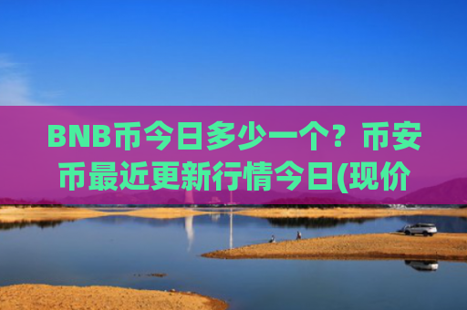 BNB币今日多少一个？币安币最近更新行情今日(现价4699.15元)