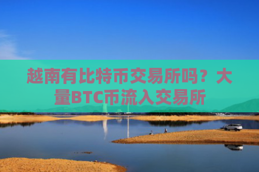 越南有比特币交易所吗?大量BTC币流入交易所