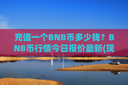 充值一个BNB币多少钱？BNB币行情今日报价最新(现价4679.28元)