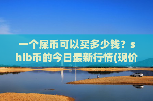 一个屎币可以买多少钱?shib币的今日最新行情(现价0.00014519元)