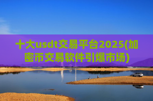 十大usdt交易平台2025(加密币交易软件引爆市场)