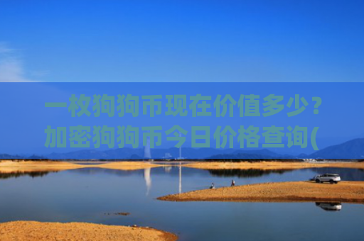 一枚狗狗币现在价值多少?加密狗狗币今日价格查询(现价2.3117元)