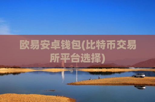 欧易安卓钱包(比特币交易所平台选择)