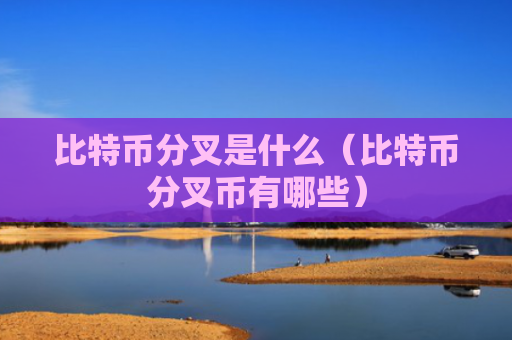 比特币分叉是什么（比特币分叉币有哪些）