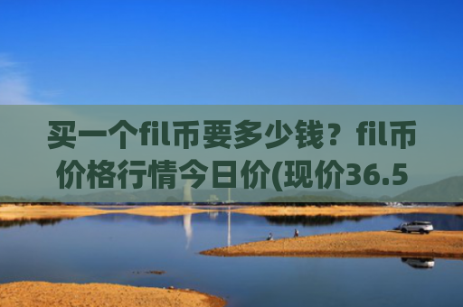 买一个fil币要多少钱?fil币价格行情今日价(现价36.5081元)