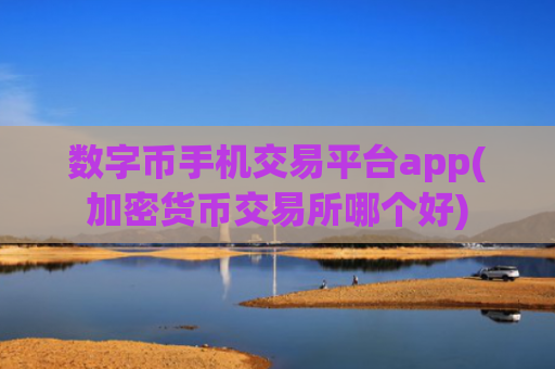 数字币手机交易平台app(加密货币交易所哪个好)