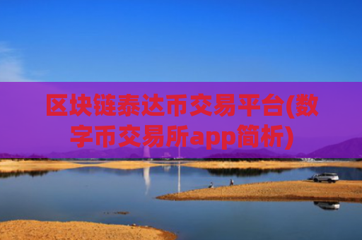 区块链泰达币交易平台(数字币交易所app简析)
