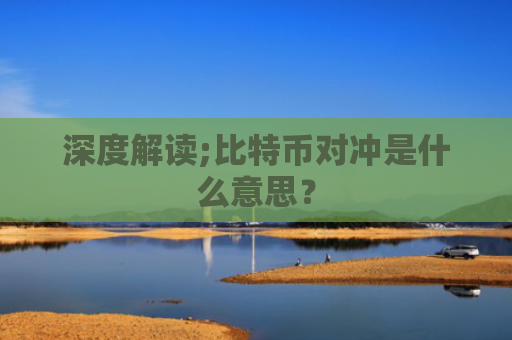 深度解读;比特币对冲是什么意思？