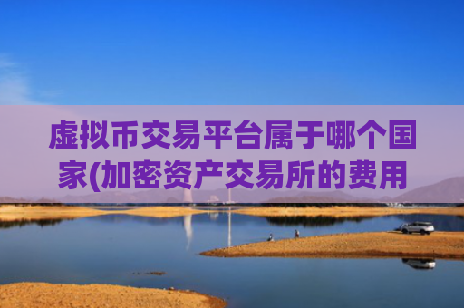 虚拟币交易平台属于哪个国家(加密资产交易所的费用比较)