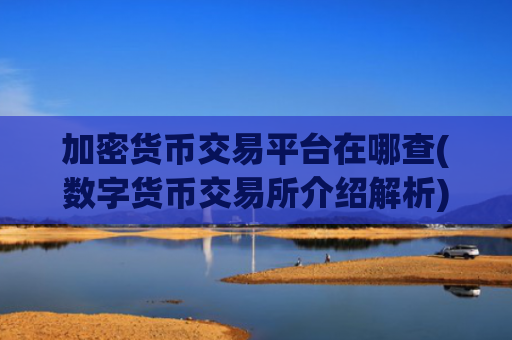 加密货币交易平台在哪查(数字货币交易所介绍解析)