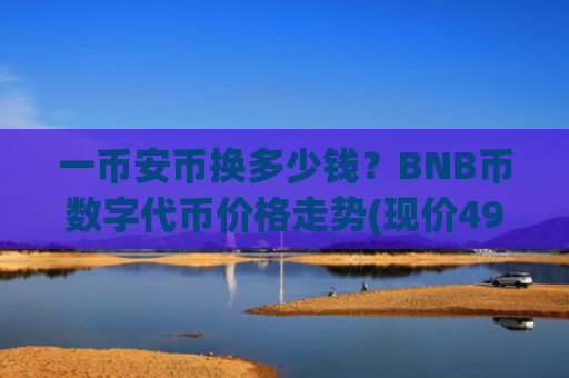 一币安币换多少钱?BNB币数字代币价格走势(现价4908.37元)
