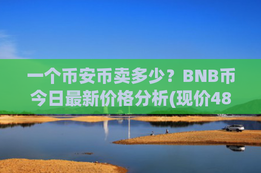 一个币安币卖多少?BNB币今日最新价格分析(现价4894.51元)