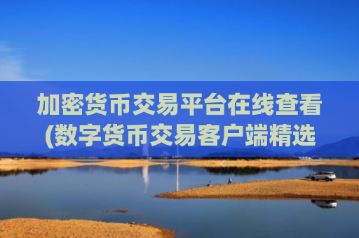 加密货币交易平台在线查看(数字货币交易客户端精选)
