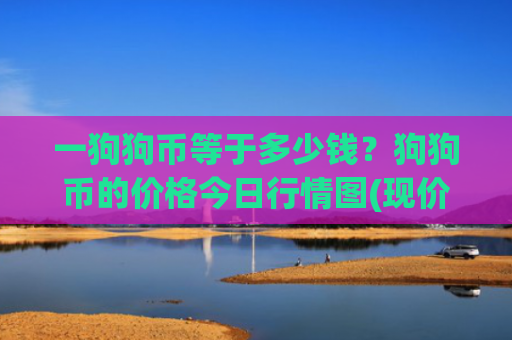 一狗狗币等于多少钱？狗狗币的价格今日行情图(现价2.3044元)