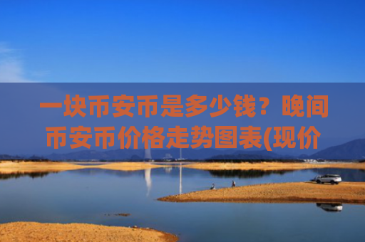 一块币安币是多少钱?晚间币安币价格走势图表(现价4912.85元)
