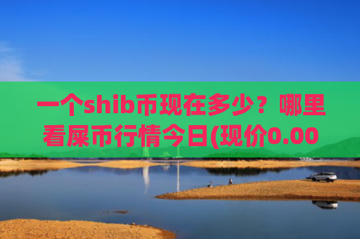 一个shib币现在多少?哪里看屎币行情今日(现价0.00015983元)