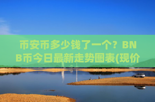 币安币多少钱了一个？BNB币今日最新走势图表(现价4924.09元)