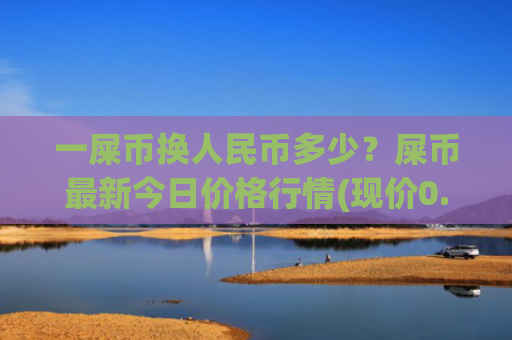 一屎币换人民币多少？屎币最新今日价格行情(现价0.00016005元)