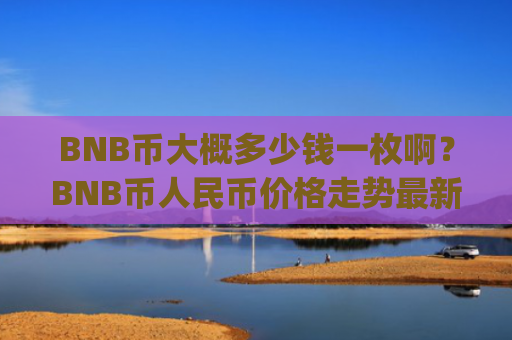 BNB币大概多少钱一枚啊?BNB币人民币价格走势最新(现价4924.21元)