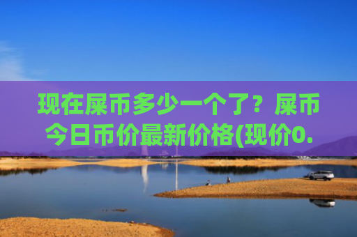现在屎币多少一个了?屎币今日币价最新价格(现价0.00016206元)