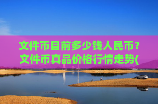 文件币目前多少钱人民币?文件币真品价格行情走势(现价38.3114元)