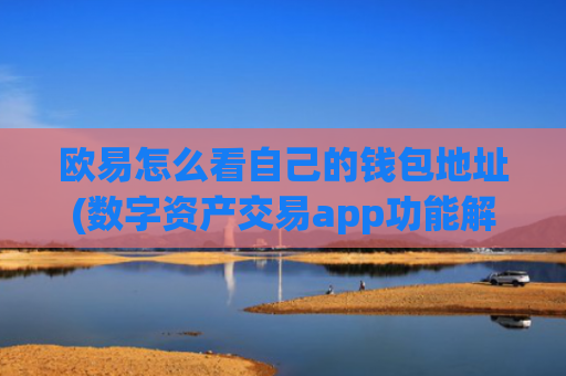 欧易怎么看自己的钱包地址(数字资产交易app功能解析)