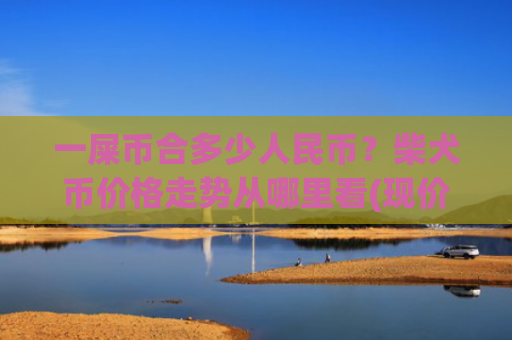 一屎币合多少人民币?柴犬币价格走势从哪里看(现价0.00016285元)