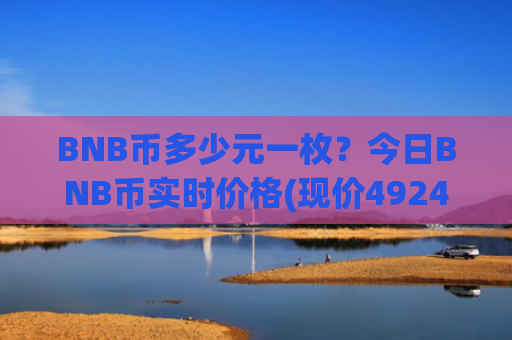BNB币多少元一枚？今日BNB币实时价格(现价4924.18元)