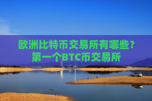 欧洲比特币交易所有哪些?第一个BTC币交易所