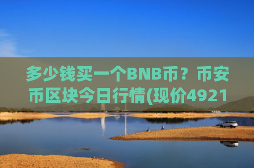 多少钱买一个BNB币？币安币区块今日行情(现价4921.06元)