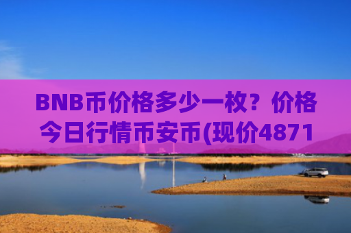 BNB币价格多少一枚？价格今日行情币安币(现价4871.99元)
