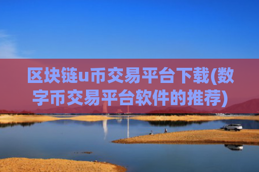 区块链u币交易平台下载(数字币交易平台软件的推荐)