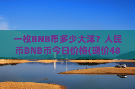 一枚BNB币多少大洋?人民币BNB币今日价格(现价4875.35元)