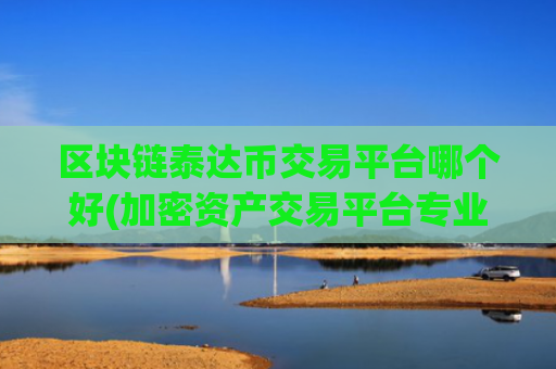 区块链泰达币交易平台哪个好(加密资产交易平台专业度)