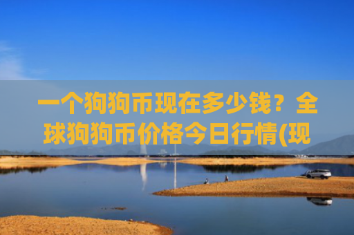 一个狗狗币现在多少钱?全球狗狗币价格今日行情(现价2.3084元)